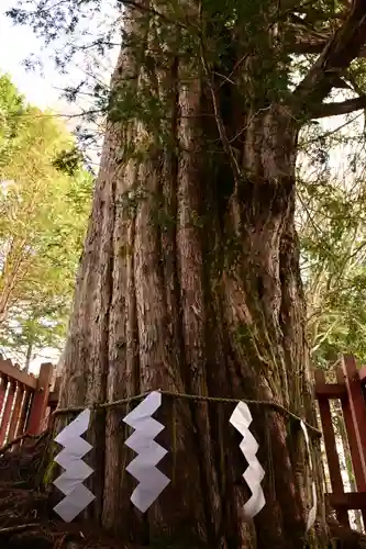 日光二荒山神社中宮祠(栃木県)