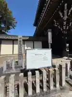 本山専修寺の{uncategorized: "未分類", other: "その他", undefined: "問題あり", building: "その他建物", grave: "お墓", sacred_gate: "鳥居", guardian: "狛犬", statue: "像", buddha: "仏像", history: "歴史", nature: "自然", garden: "庭園", animal: "動物", pagoda: "塔", temizu: "手水舎", mountain_gate: "山門・神門", sanctuary: "本殿・本堂", subordinate: "末社・摂社", art: "芸術", scenery: "景色", jizo: "地蔵", ema: "絵馬", goshuin: "御朱印", omikuji: "おみくじ", items: "授与品その他", amulet: "お守り", goshuincho: "御朱印帳", eats: "食事", festival: "お祭り", votive_dance: "神楽", shichigosan: "七五三参", wedding: "結婚式", experience: "体験その他", initially: "初詣", around: "周辺", anti_infection: "感染症対策"}
