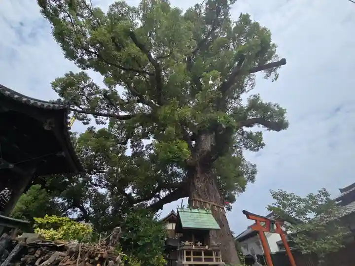 法楽寺(大阪府)