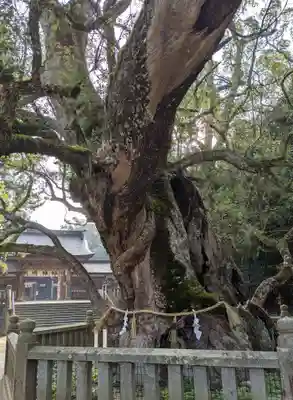 大山祇神社(愛媛県)