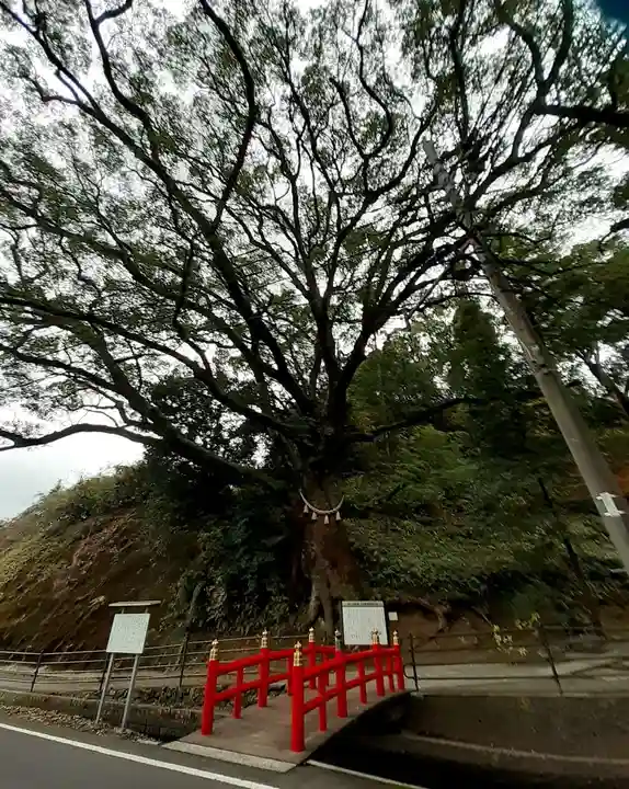 蛭児神社の自然