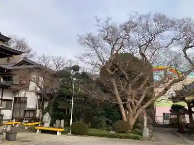 定光寺(神奈川県)