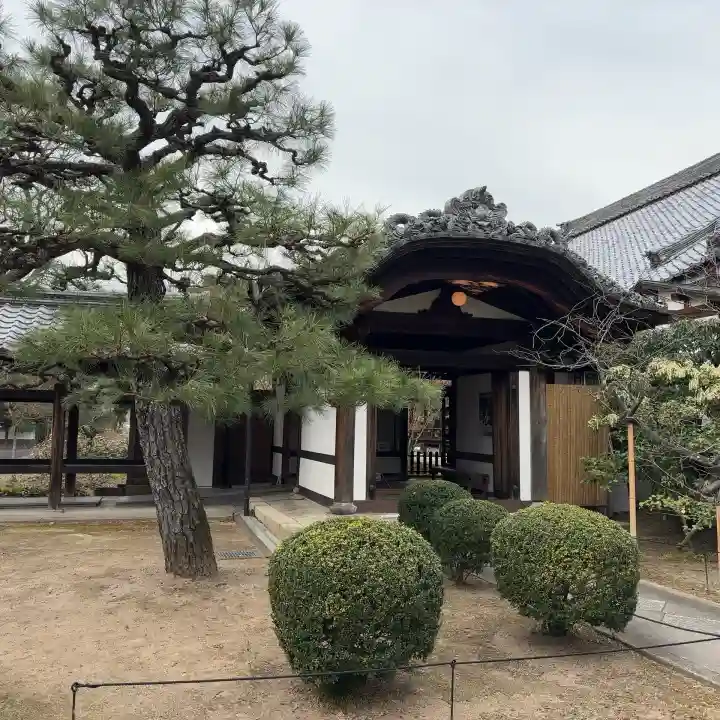 興聖寺の{uncategorized: "未分類", other: "その他", undefined: "問題あり", building: "その他建物", grave: "お墓", sacred_gate: "鳥居", guardian: "狛犬", statue: "像", buddha: "仏像", history: "歴史", nature: "自然", garden: "庭園", animal: "動物", pagoda: "塔", temizu: "手水舎", mountain_gate: "山門・神門", sanctuary: "本殿・本堂", subordinate: "末社・摂社", art: "芸術", scenery: "景色", jizo: "地蔵", ema: "絵馬", goshuin: "御朱印", omikuji: "おみくじ", items: "授与品その他", amulet: "お守り", goshuincho: "御朱印帳", eats: "食事", festival: "お祭り", votive_dance: "神楽", shichigosan: "七五三参", wedding: "結婚式", experience: "体験その他", initially: "初詣", around: "周辺", anti_infection: "感染症対策"}