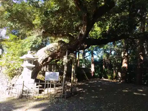 莫越山神社(千葉県)