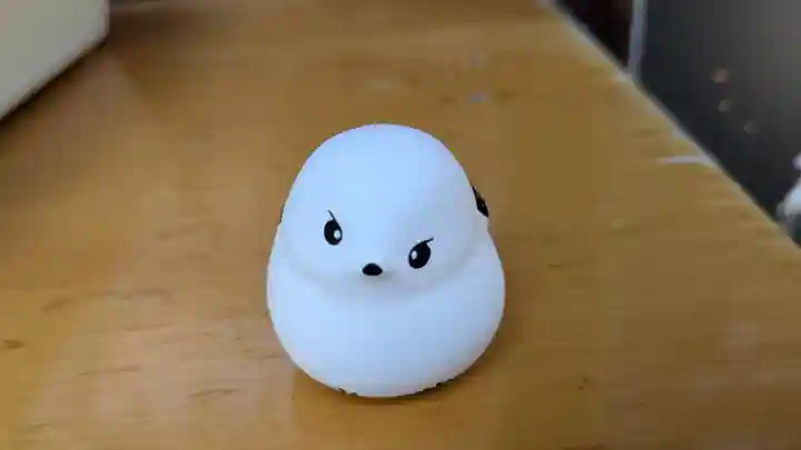 帯廣神社のおみくじ