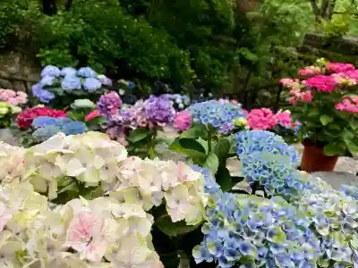 長谷寺(奈良県)