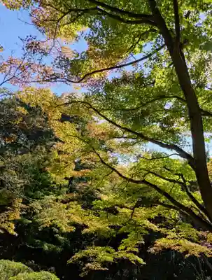 玉野御嶽神社(愛知県)