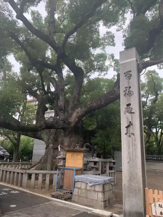 杭全神社の自然