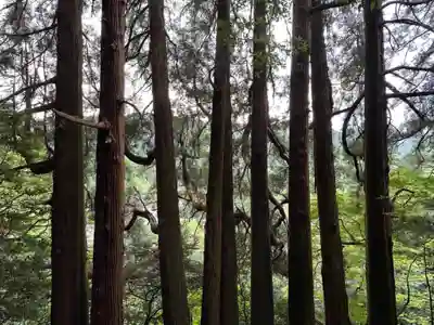 天岩戸神社(宮崎県)
