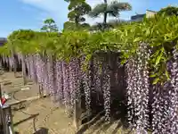 地福寺(徳島県)