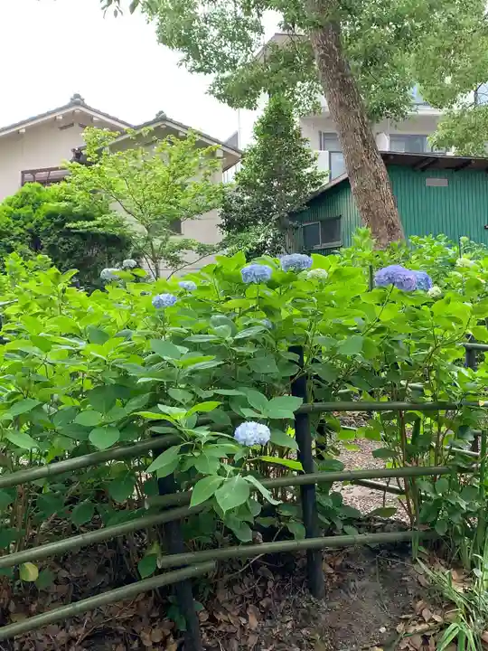 藤森神社の庭園