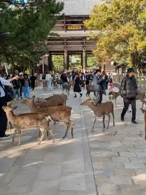 東大寺(奈良県)