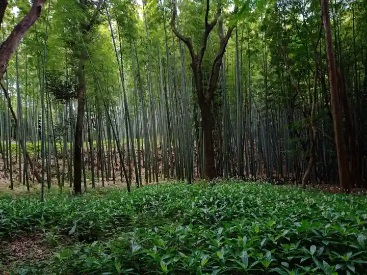 石清水八幡宮(京都府)