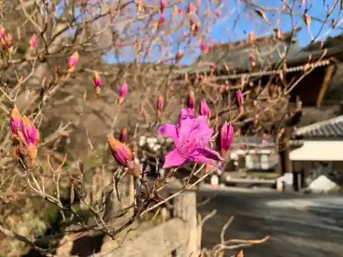 普門寺(切り絵御朱印発祥の寺)のその他建物