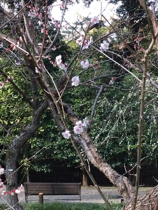 靖國神社の庭園