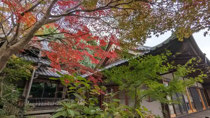勝持寺(花の寺)(京都府)
