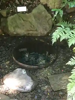 明治神宮(東京都)