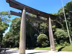 明治神宮の鳥居