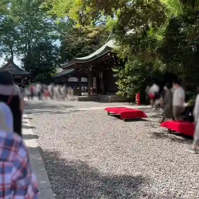 川越氷川神社(埼玉県)