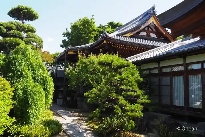 平林寺(兵庫県)