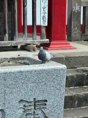 太宗寺の{uncategorized: "未分類", other: "その他", undefined: "問題あり", building: "その他建物", grave: "お墓", sacred_gate: "鳥居", guardian: "狛犬", statue: "像", buddha: "仏像", history: "歴史", nature: "自然", garden: "庭園", animal: "動物", pagoda: "塔", temizu: "手水舎", mountain_gate: "山門・神門", sanctuary: "本殿・本堂", subordinate: "末社・摂社", art: "芸術", scenery: "景色", jizo: "地蔵", ema: "絵馬", goshuin: "御朱印", omikuji: "おみくじ", items: "授与品その他", amulet: "お守り", goshuincho: "御朱印帳", eats: "食事", festival: "お祭り", votive_dance: "神楽", shichigosan: "七五三参", wedding: "結婚式", experience: "体験その他", initially: "初詣", around: "周辺", anti_infection: "感染症対策"}