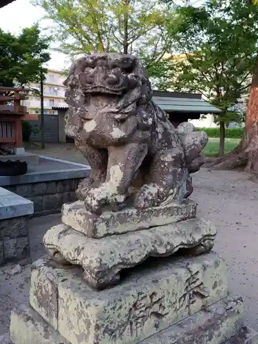 天満神社の狛犬