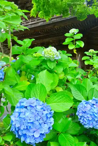 円覚寺(神奈川県)