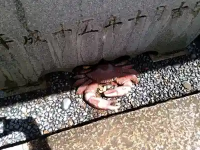 多賀神社（尾張多賀神社）の手水舎