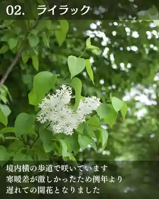 宝光寺(北海道)