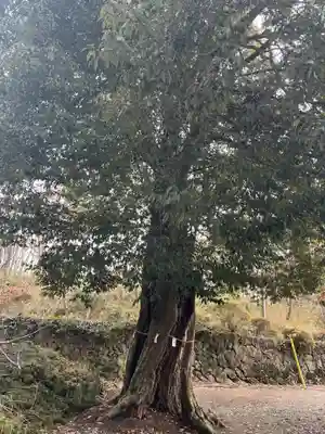 三峯神社(群馬県)