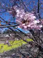白山神社(静岡県)