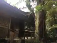 越中一宮 髙瀬神社の本殿・本堂