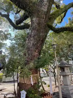 稲荷神社(静岡県)