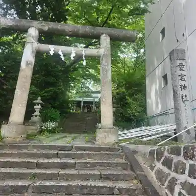 愛宕神社の{uncategorized: "未分類", other: "その他", undefined: "問題あり", building: "その他建物", grave: "お墓", sacred_gate: "鳥居", guardian: "狛犬", statue: "像", buddha: "仏像", history: "歴史", nature: "自然", garden: "庭園", animal: "動物", pagoda: "塔", temizu: "手水舎", mountain_gate: "山門・神門", sanctuary: "本殿・本堂", subordinate: "末社・摂社", art: "芸術", scenery: "景色", jizo: "地蔵", ema: "絵馬", goshuin: "御朱印", omikuji: "おみくじ", items: "授与品その他", amulet: "お守り", goshuincho: "御朱印帳", eats: "食事", festival: "お祭り", votive_dance: "神楽", shichigosan: "七五三参", wedding: "結婚式", experience: "体験その他", initially: "初詣", around: "周辺", anti_infection: "感染症対策"}