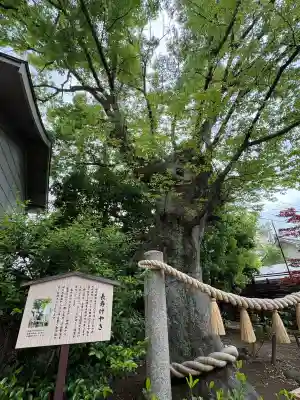 溝口神社の{uncategorized: "未分類", other: "その他", undefined: "問題あり", building: "その他建物", grave: "お墓", sacred_gate: "鳥居", guardian: "狛犬", statue: "像", buddha: "仏像", history: "歴史", nature: "自然", garden: "庭園", animal: "動物", pagoda: "塔", temizu: "手水舎", mountain_gate: "山門・神門", sanctuary: "本殿・本堂", subordinate: "末社・摂社", art: "芸術", scenery: "景色", jizo: "地蔵", ema: "絵馬", goshuin: "御朱印", omikuji: "おみくじ", items: "授与品その他", amulet: "お守り", goshuincho: "御朱印帳", eats: "食事", festival: "お祭り", votive_dance: "神楽", shichigosan: "七五三参", wedding: "結婚式", experience: "体験その他", initially: "初詣", around: "周辺", anti_infection: "感染症対策"}