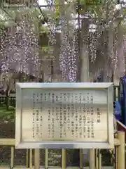妙福寺の歴史