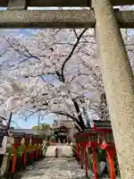 六孫王神社(京都府)
