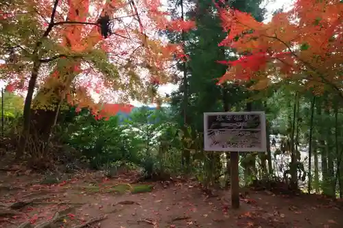 石都々古和気神社の自然