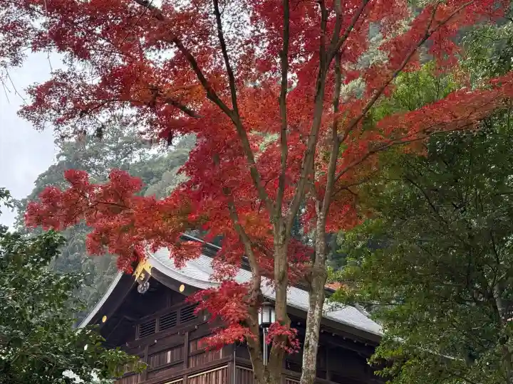 高麗神社(埼玉県)
