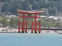 厳島神社の鳥居