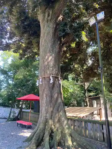 岩槻久伊豆神社(埼玉県)