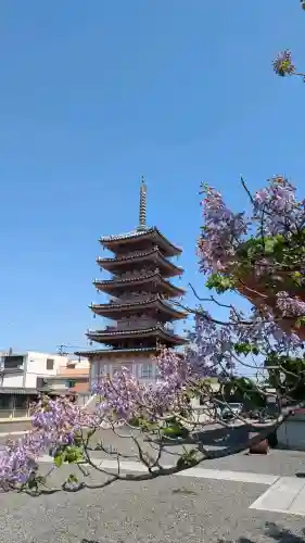 津観音の{uncategorized: "未分類", other: "その他", undefined: "問題あり", building: "その他建物", grave: "お墓", sacred_gate: "鳥居", guardian: "狛犬", statue: "像", buddha: "仏像", history: "歴史", nature: "自然", garden: "庭園", animal: "動物", pagoda: "塔", temizu: "手水舎", mountain_gate: "山門・神門", sanctuary: "本殿・本堂", subordinate: "末社・摂社", art: "芸術", scenery: "景色", jizo: "地蔵", ema: "絵馬", goshuin: "御朱印", omikuji: "おみくじ", items: "授与品その他", amulet: "お守り", goshuincho: "御朱印帳", eats: "食事", festival: "お祭り", votive_dance: "神楽", shichigosan: "七五三参", wedding: "結婚式", experience: "体験その他", initially: "初詣", around: "周辺", anti_infection: "感染症対策"}