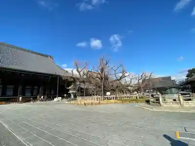 本願寺（西本願寺）(京都府)