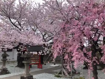 七郷神社の{uncategorized: "未分類", other: "その他", undefined: "問題あり", building: "その他建物", grave: "お墓", sacred_gate: "鳥居", guardian: "狛犬", statue: "像", buddha: "仏像", history: "歴史", nature: "自然", garden: "庭園", animal: "動物", pagoda: "塔", temizu: "手水舎", mountain_gate: "山門・神門", sanctuary: "本殿・本堂", subordinate: "末社・摂社", art: "芸術", scenery: "景色", jizo: "地蔵", ema: "絵馬", goshuin: "御朱印", omikuji: "おみくじ", items: "授与品その他", amulet: "お守り", goshuincho: "御朱印帳", eats: "食事", festival: "お祭り", votive_dance: "神楽", shichigosan: "七五三参", wedding: "結婚式", experience: "体験その他", initially: "初詣", around: "周辺", anti_infection: "感染症対策"}