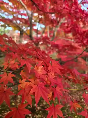  智積院(京都府)