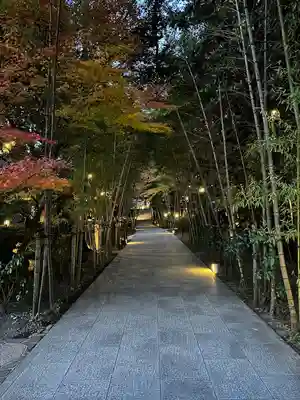 來宮神社(静岡県)