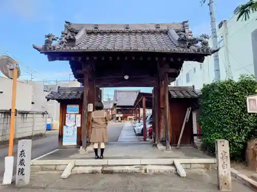 戒蔵院の山門