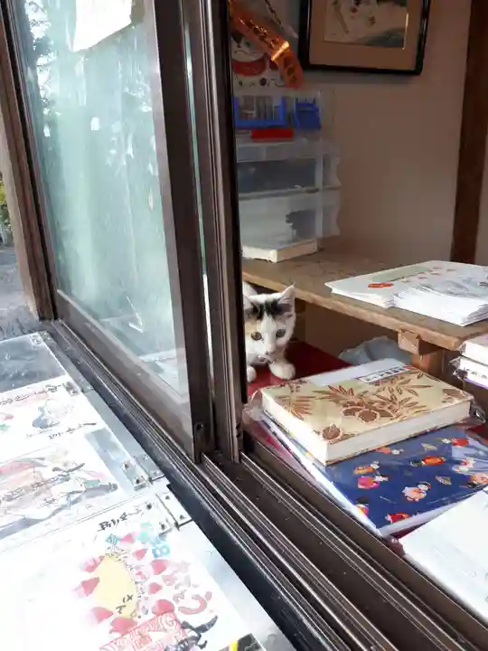 賀茂別雷神社のその他建物