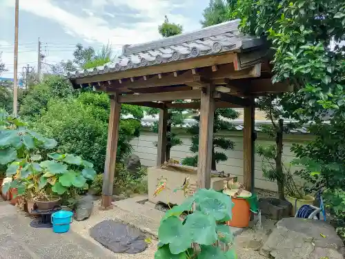 正覚寺の手水舎