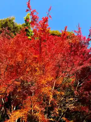 財賀寺(愛知県)